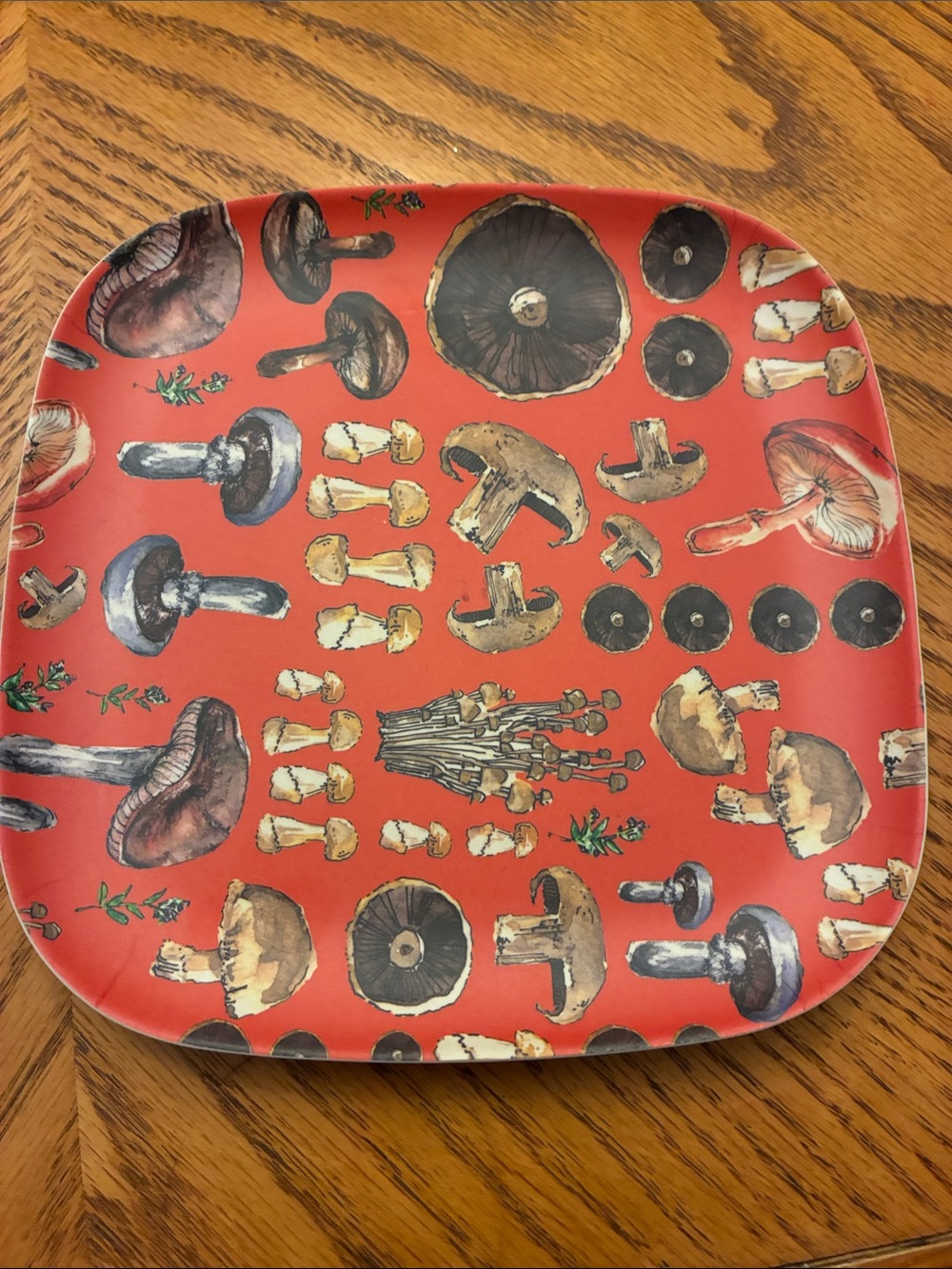 Terrain Anthropologie Mushroom Melamine Square 8” Plates Set of 4 Cottagecore⁠ - Picture 6 of 7